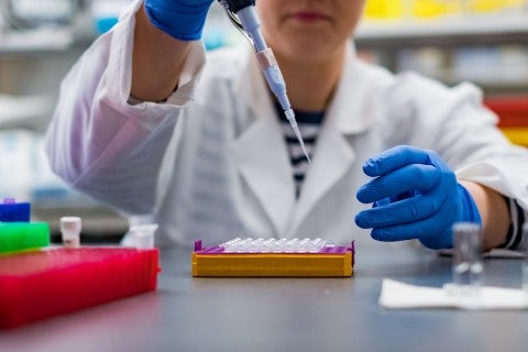 Swingle Lab (Biomaterials Science, Immune Engineering, & Reproductive Biology)